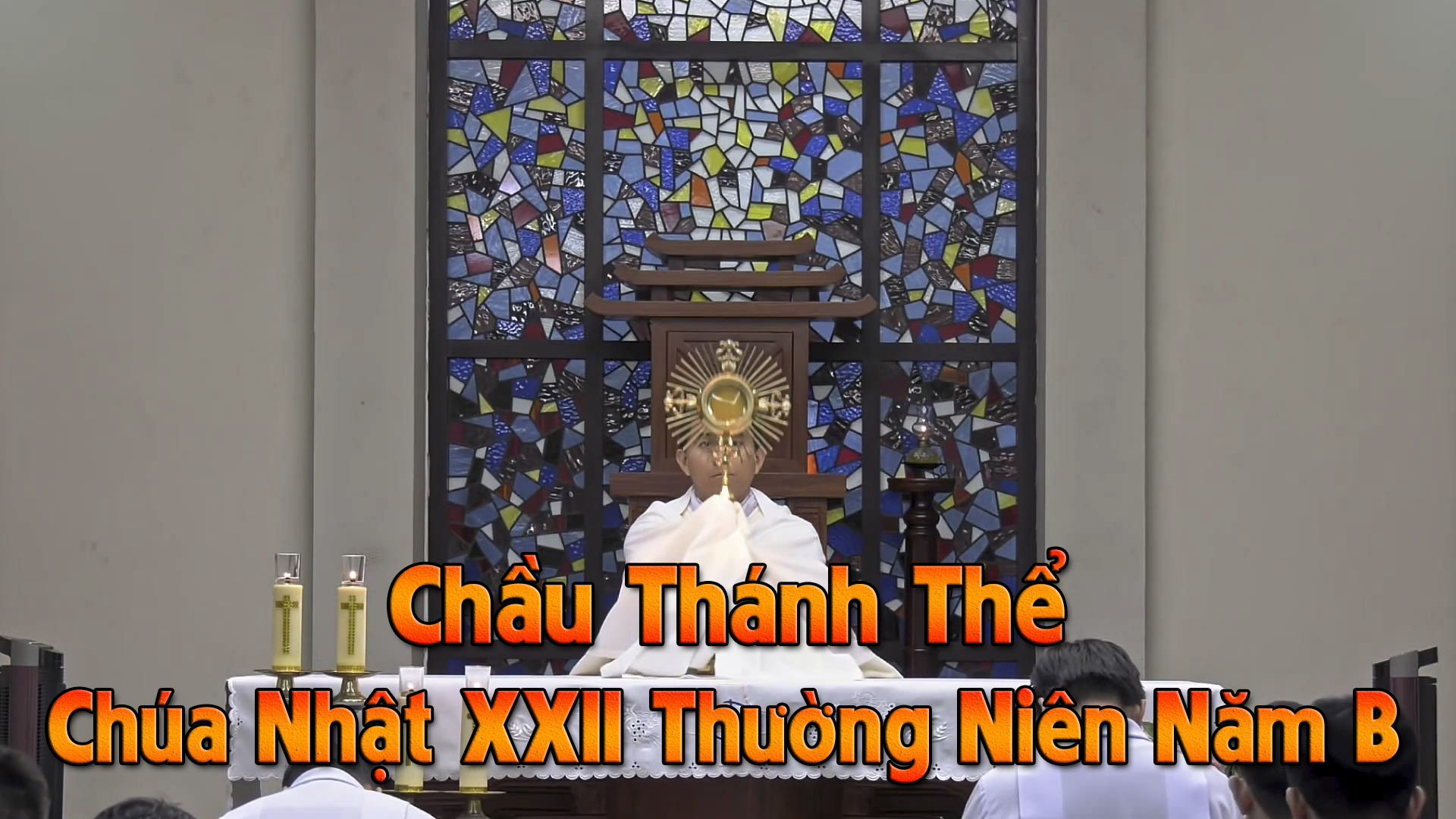 Chầu Thánh Thể - Chúa Nhật XXII Thường Niên Năm B